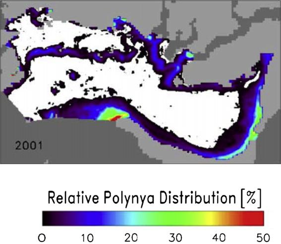 Black indicates lack of ice (open water and polynyas). Source: From Anselme (1998). FIGURE S12.