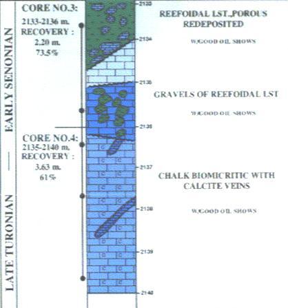 NE NE LINE: NSI 81-41 Possible POSSIBLE Carbonate REEF BUILDUP Build-up / CHANNEL / Channel ( EOCENE / U. CRETACEOUS) ( Eocene / U.