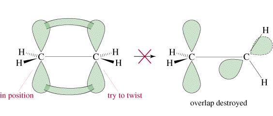 Alkenes Free rotation occurs around single bonds. Double and triple bonds are rigid.