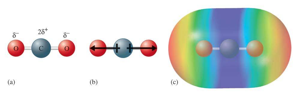 Polarity of polyatomic molecules The effect of polar bonds on the polarity of the entire molecule
