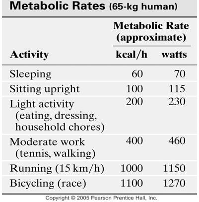 Human Metabolism and the First Law The metabolic rate is the rate at which internal energy is transformed in the body.