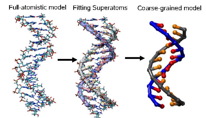 A Course-Grained DNA Model for Supercoil and