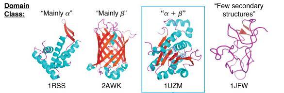 Classification of protein structure Protein tertiary structure is characterized by the content of helix and sheet secondary structures as well as defined turns that link these secondary structures
