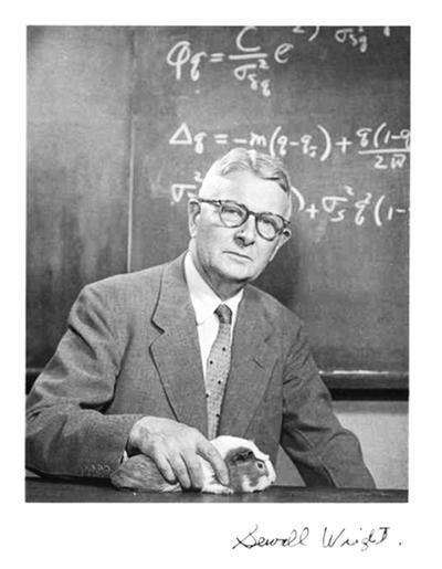 The threshold model A relevant model was invented in 1934 by Sewall Wright (1889-1988) rumor has it he then absent-mindedly erased the