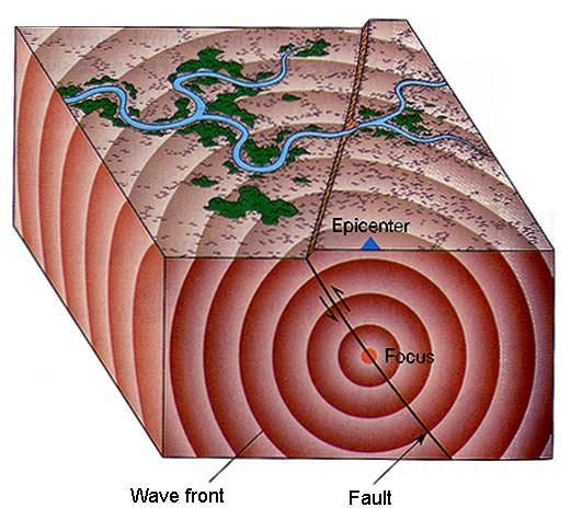 Seismic Waves Energy released from the earthquake source (its focus) radiates in all directions. Focus Energy is in the form of waves called seismic waves.