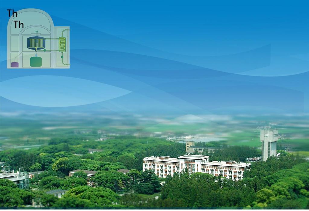 Physics Division of TMSR Nuclear Physics Division Shanghai INstitute of