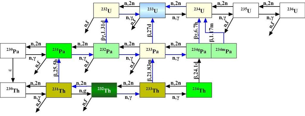中子反应截面测量 数据需求 几个关键问题及其对核数据的需求 (Th-U 燃料循环 ) 232 Th/ 233 U 转化 235 U 的生成