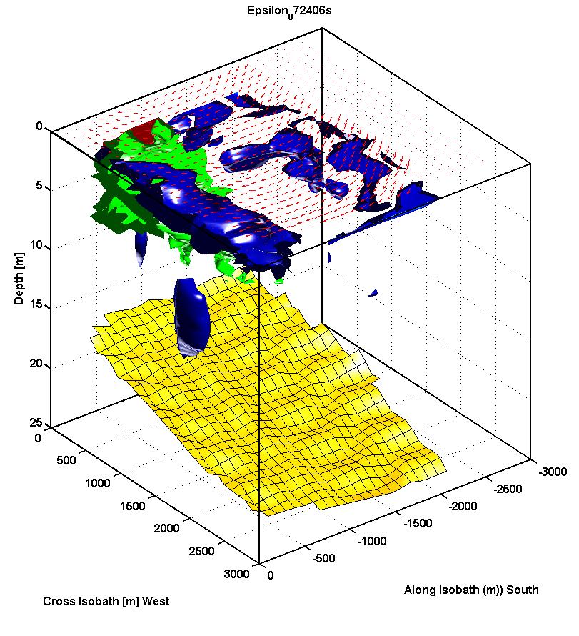 Figure 7. Three dimensional map of chlorophyll-a, green surface with a concentration of 12 μg/l, and turbulent dissipation rate blue surface with log 10 (ε) 10-7 W/kg.