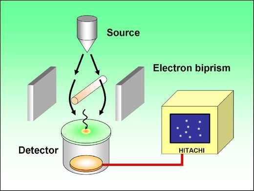 Electron optics Biprism Source: electron gun Phase: interaction with electrostatic field Values: m 10 27