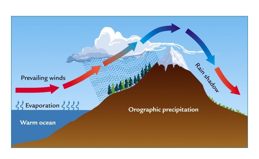 3. Orographic Clouds - form when, t air moves up a mountain, at the pressure, and. Clouds are formed when water vapor in this air cools and condenses. Fog Fog is actually a at level.