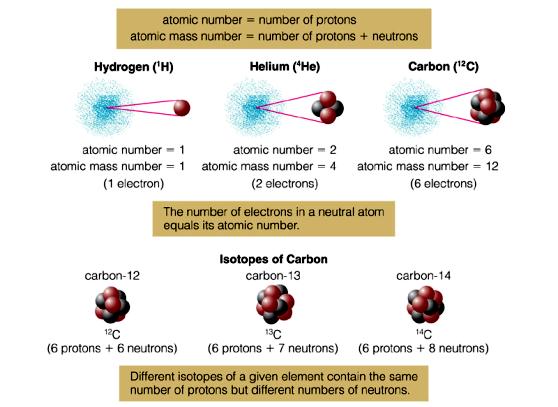 Nucleus and its electron cloud... Atoms Involve Big Empty Spaces (or 1 Angstrom) A. Speed of light x 1 AU B. Speed of light / 1 AU C. 1 AU / speed of light D.