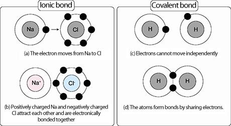 Remember atoms are trying to achieve full outer electron levels (e.g. like Neon 2,8) when they bond, so they can get a stable electron arrangement like a noble gas!