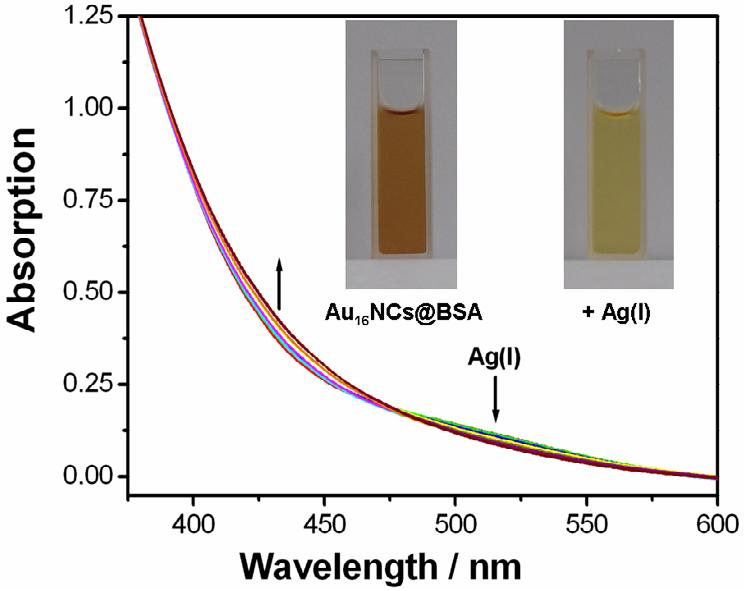 Fig. S6 Uv-vis spectra of Au 16 NCs@BSA (10.0 mg/ml) in buffer solution (ph 7.