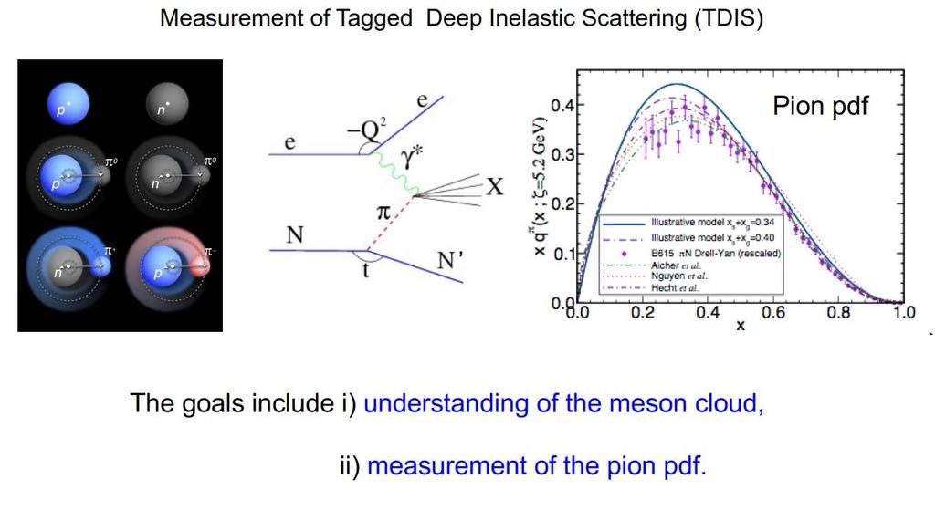 Tagged Deep Inelastic Scattering