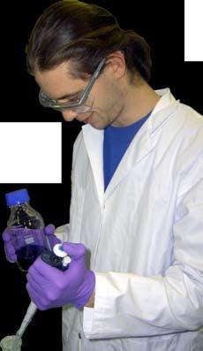 Studies Bachelor of Science with Major in Nanosciences Master of Science in Nanosciences Master of