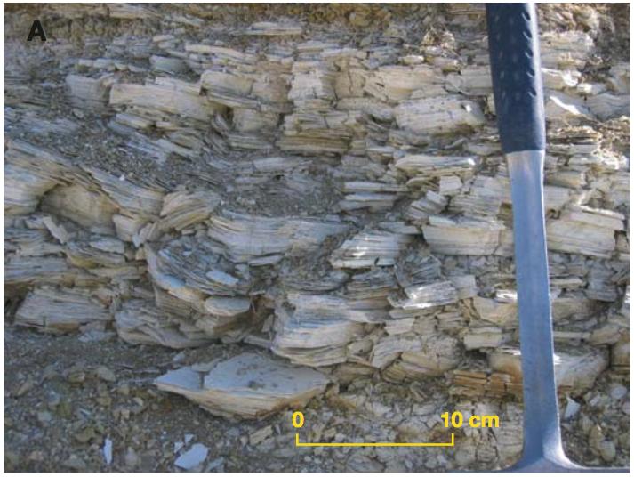 A Estimated crustal thickness after Sevier orogeny.