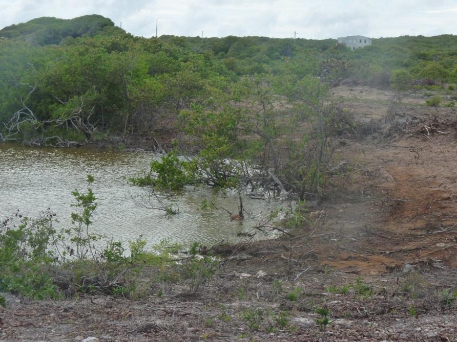 Why is habitat and green economy data needed in Anguilla The terrestrial environments of the Anguillan archipelago are considered fragile.