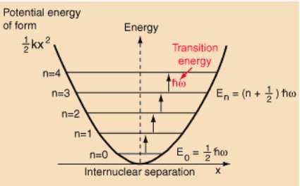 Phonons Quantum harmonic oscillators have equally spaced energy levels with separation = oscillators can accept or lose energy only in discrete units of energy and allowed energies for the oscillator