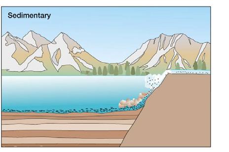 unconsolidated sediments are transformed into solid sedimentary rocks compaction compressing of sediment by the weight
