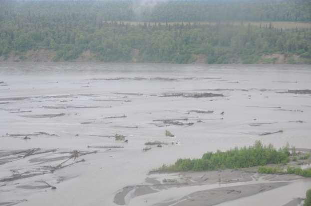 Photograph 9. June 30, 2012 Lower Susitna River between Talkeetna and Willow.