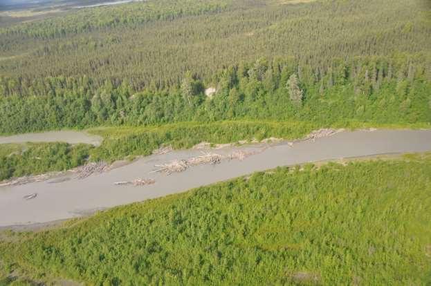 Photograph 17. July 2, 2012 Lower Susitna River side channel between Talkeetna and Willow.