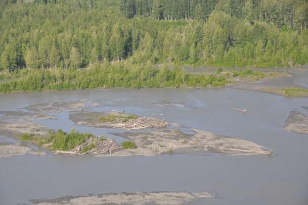 Photograph 20. June 30, 2012 Lower Susitna River between Talkeetna and Willow.