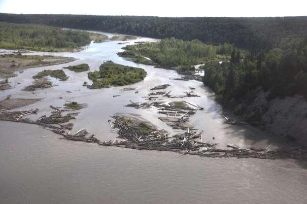 Photograph 21. June 30, 2012 Lower Susitna River between Talkeetna and Willow.