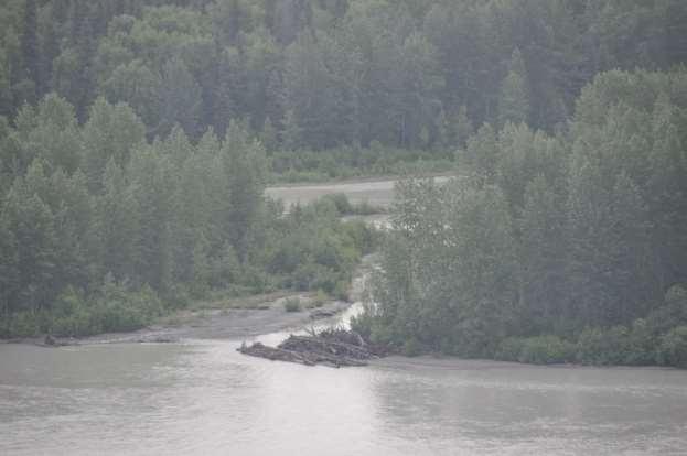 Photograph 22. June 30, 2012 Lower Susitna River between Talkeetna and Willow.