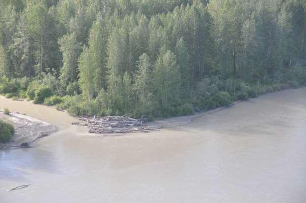 Photograph 24. June 30, 2012 Lower Susitna River between Talkeetna and Willow.