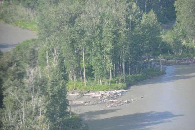 Photograph 25. June 30, 2012 Lower Susitna River between Talkeetna and Willow.