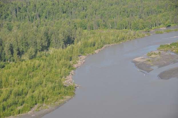 Photograph 30. June 30, 2012 Lower Susitna River between Talkeetna and Willow.