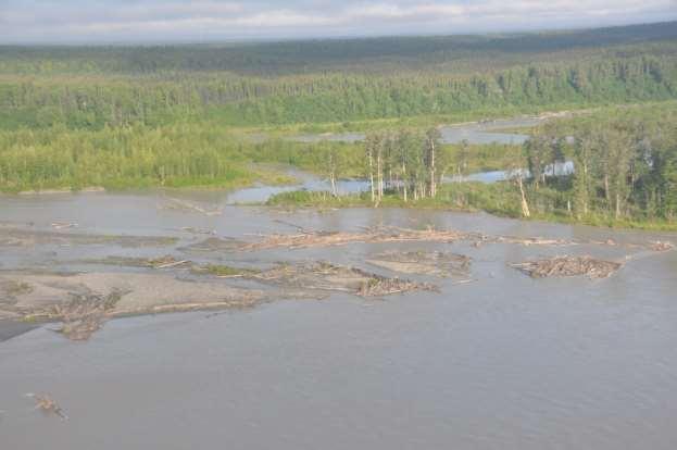 Photograph 33. June 30, 2012 Lower Susitna River between Talkeetna and Willow.