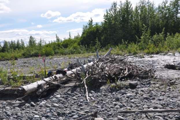 Photograph 36. June 30, 2012 Lower Susitna River between Talkeetna and Willow.