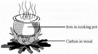 Carbon and iron are both elements. What is an element?