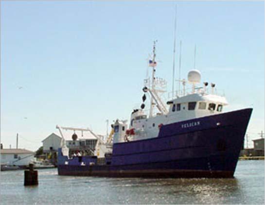 NSF Ship Rapid Response Research Effort Cape Hatteras Endeavor Cape Hatteras Endeavor Cape