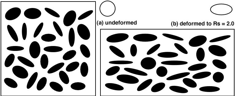 page 4 Figure 2. Population of elliptical objects with various shapes and orientations. (a) Undeformed state. (b) Deformed state. White ellipse shows the amount of strain (Rs=2.0).