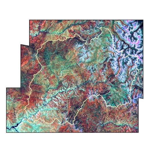 Landsat 7 TM Satellite Imagery Acquired July 10, 2002 30 m spatial resolution Rectified using 2 m DOQ and terrain data Topographic