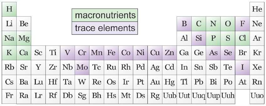 Essential elements macronutrients: elements