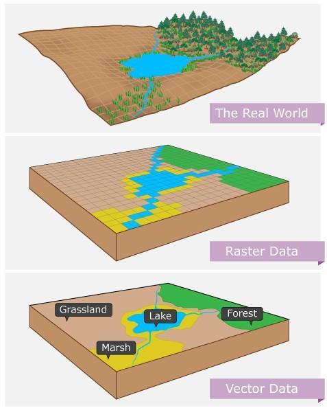 GIS Data Types: Spatial Spatial or coordinate data represent features that have a known