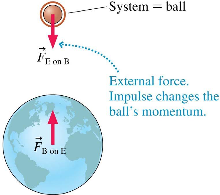 Conservation of Momentum Depends on the Choice of System A rubber ball is dropped and falls toward earth.