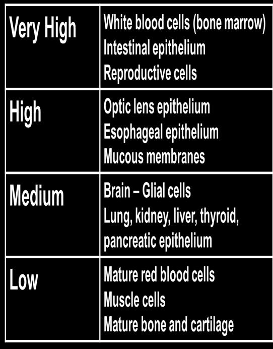 ((Dose- Response Tissue)) ( Examples of tissue Sensitivity ) ( Dose Response Issues) (Half Life ) Rate of decay of radioisotope How long it takes to lose half their strength ((Reducing Exposure)) HOW