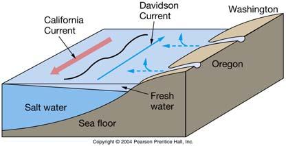 Coastal Geostrophy Coastal geostrophic currents are created by wind and runoff Coastal Geostrophy Winds can push fresh water runoff against the coast As fresh water continues to run off,