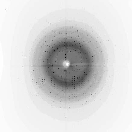 Figure 3. X-ray diffraction pattern of Human Carbonic Anhydrase II Mutant His64Ala extending to 1.0 Å resolution.