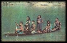 The Piraha are an isolated ( 隔绝的 ) tribe ( 部落 )of hunters, who have lived deep in the Brazilian rainforest. The tribe has survived for centuries, although only around 200 members are left.