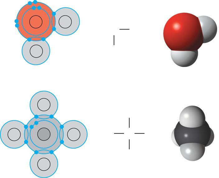 Compounds & Covalent Bonds Name (molecular formula) Electronshell diagram Structural formula Spacefilling model (c) Water (H 2 O).