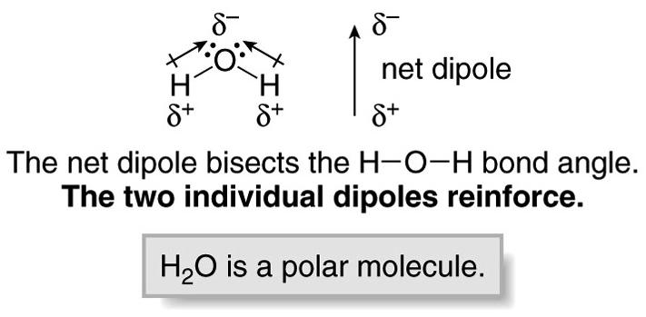 Polar Molecules Carbon Dioxide (CO 2 ) A polar molecule has either