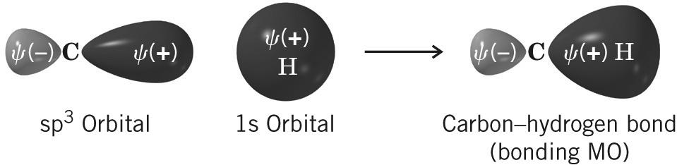 The resulting bonding orbital MO (anti-bonding to be discussed soon) hold electrons to which both nuclei are attracted.