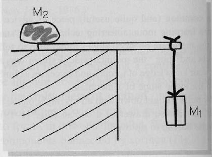 5. In order to hang a mass of M 1 =30.0kg from the horizontal flat roof of a building, a plank of length 2.4 m is placed on the roof.