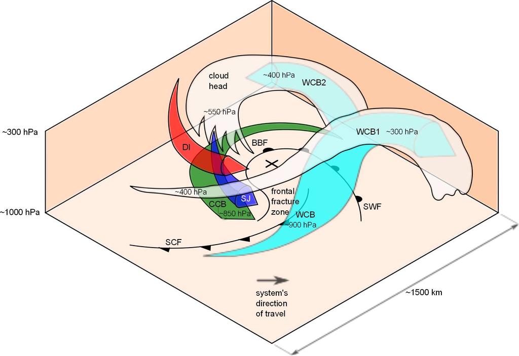 Figure 1: The structure of a Shapiro Keyser cyclone in development stage III: SCF: surface cold front; SWF: surface warm front; BBF: bent-back front; CCB: cold conveyor belt; SJ: sting jet air