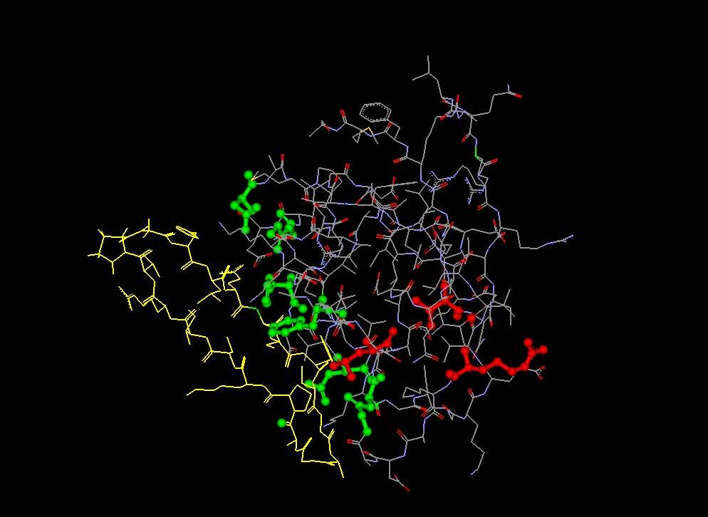 Ligand Screening 89/93 15 N-HSQC of the synthrophin PDZ